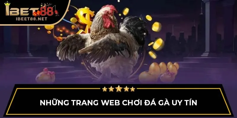 Đá Gà Trực Tiếp: Tổng Quan Cho Người Mới Bắt Đầu Tại Ibet88 2 Những trang web chơi đá gà uy tín